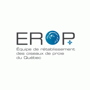Logo Erop - Par Cyan Concept