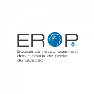 Logo Erop - Par Cyan Concept
