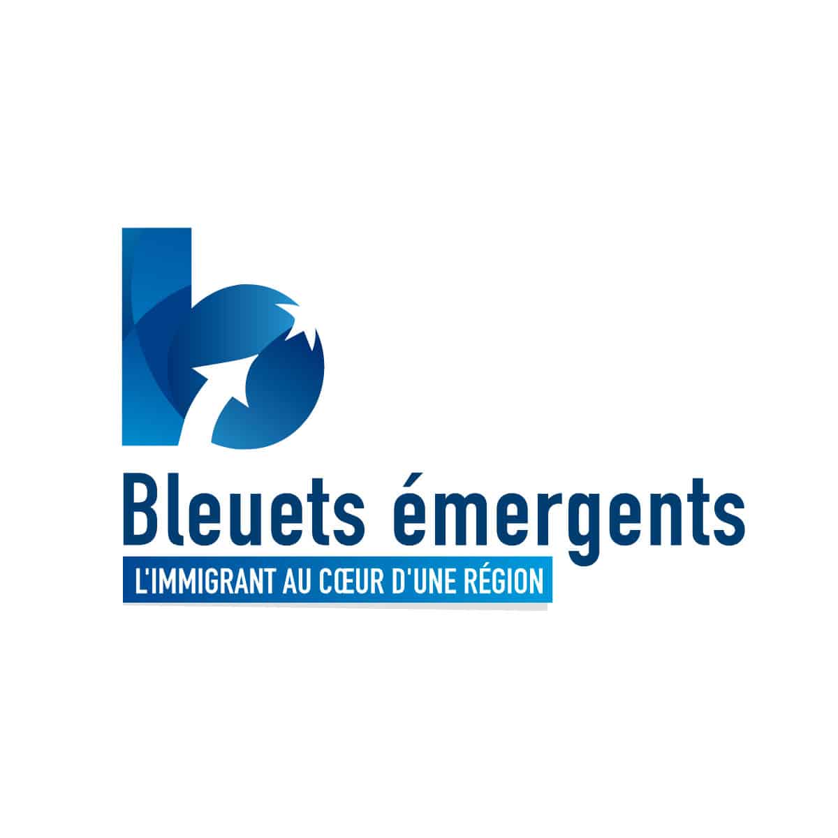 Logo Bleuets émergents - Par Cyan Concept